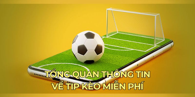 tong-quan-thong-tin-ve-tip-keo-mien-phi